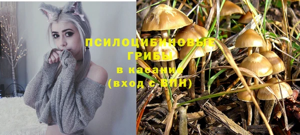 первитин Мегион