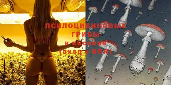 соль ск Медвежьегорск
