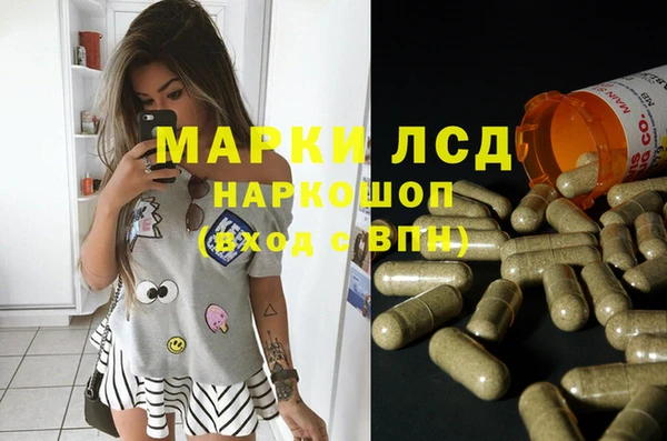 соль ск Медвежьегорск
